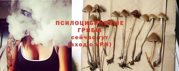 первитин Абинск