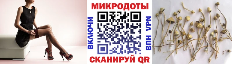 Псилоцибиновые грибы прущие грибы Козловка